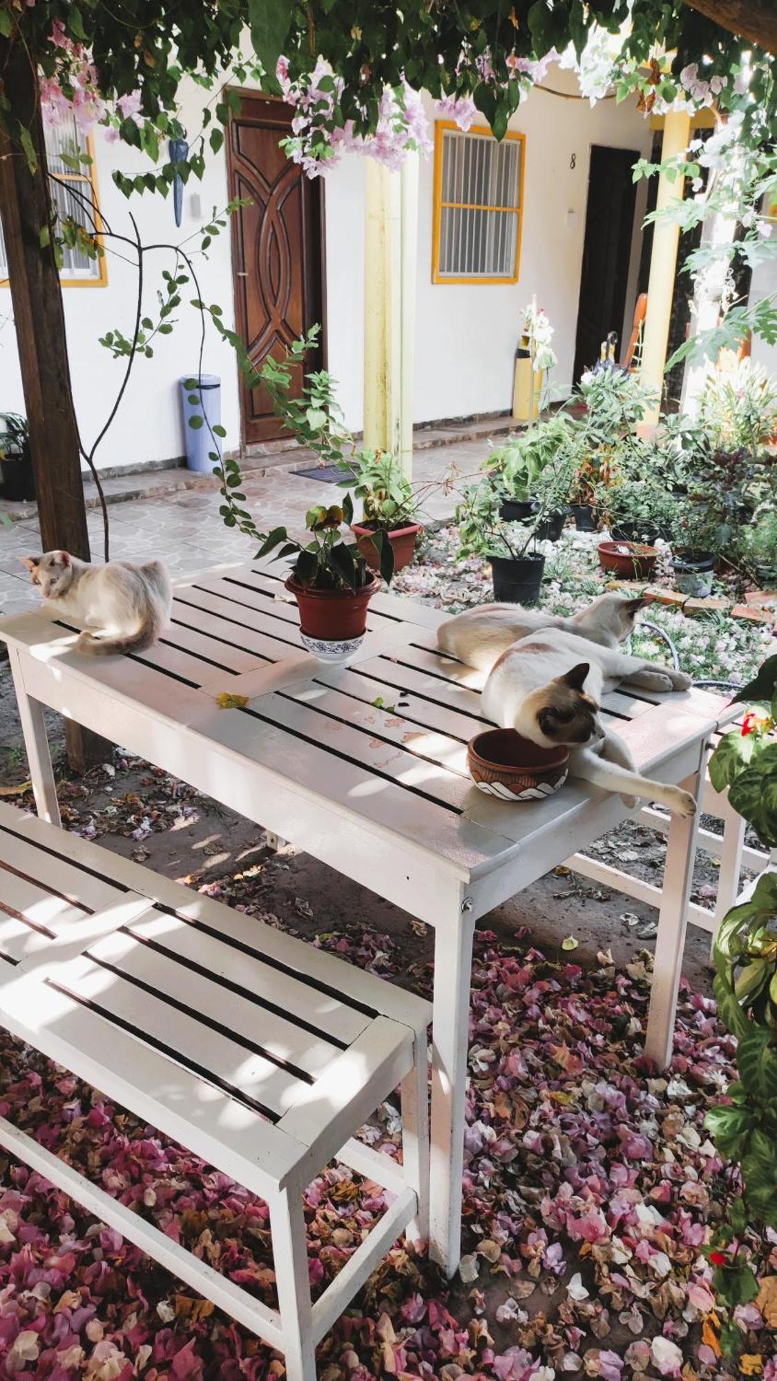 Pousada Solar Encanto Do Marajo Soure Εξωτερικό φωτογραφία