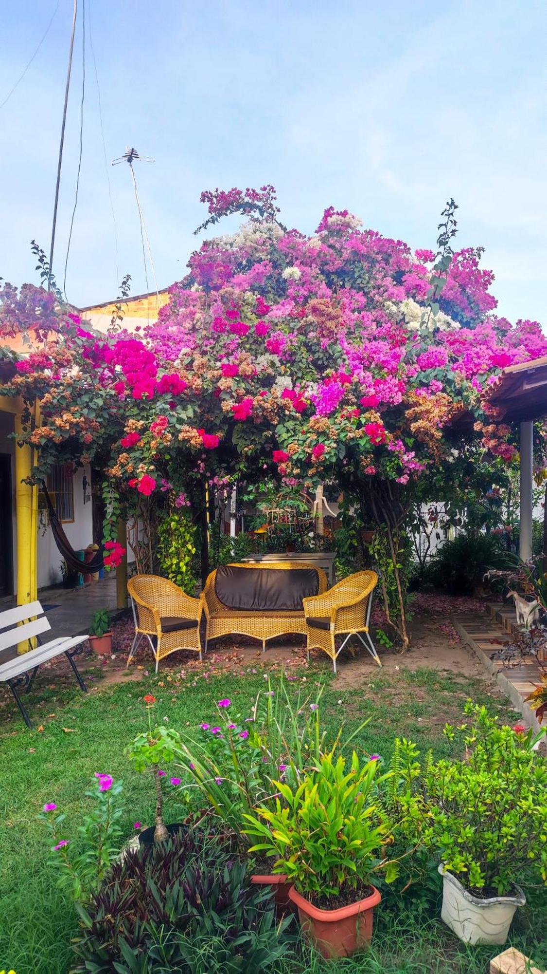 Pousada Solar Encanto Do Marajo Soure Εξωτερικό φωτογραφία